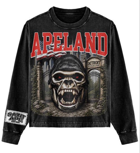 Apeland Long sleeve